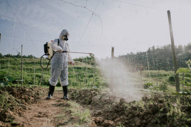 Best Best Pest Control Companies  in Cleona, PA