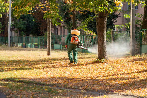 Bird Control in Cleona, PA