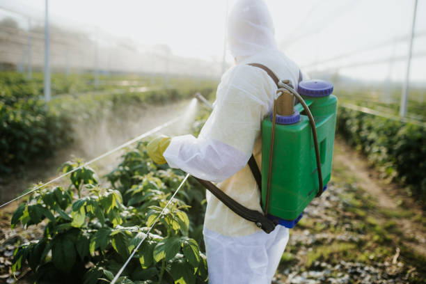 Trusted Cleona, PA Pest Control Experts